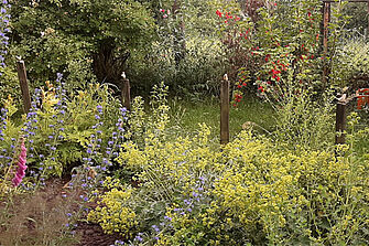 Artenreicher Garten - Foto: Ute Maria Meiser