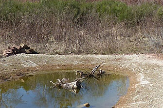 Betonschlämme-Gewässer in einer Sandgrube im östlichen Saarland - Foto: Gabi Stein